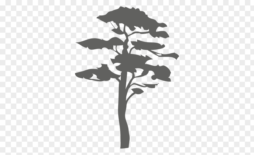 Arboles Tree Silhouette Arboriculture Woody Plant Branch PNG