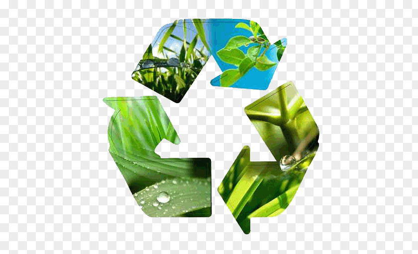 Conception Sustainability Natural Environment Innovation Industry Technology PNG