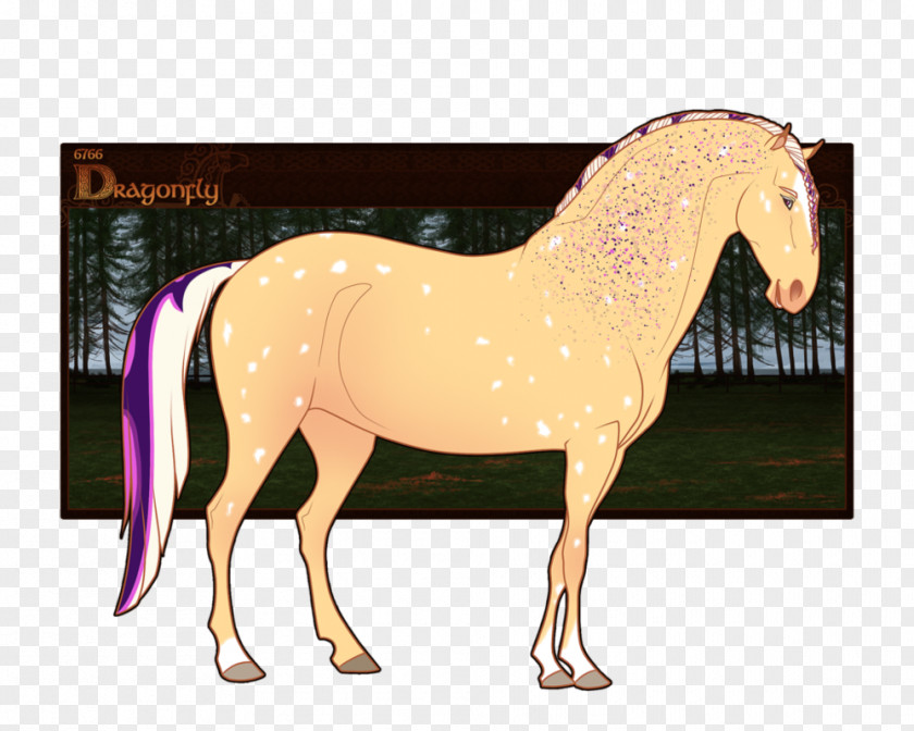 Dragon Fly Pony Stallion Mustang Mare Enharmonic PNG