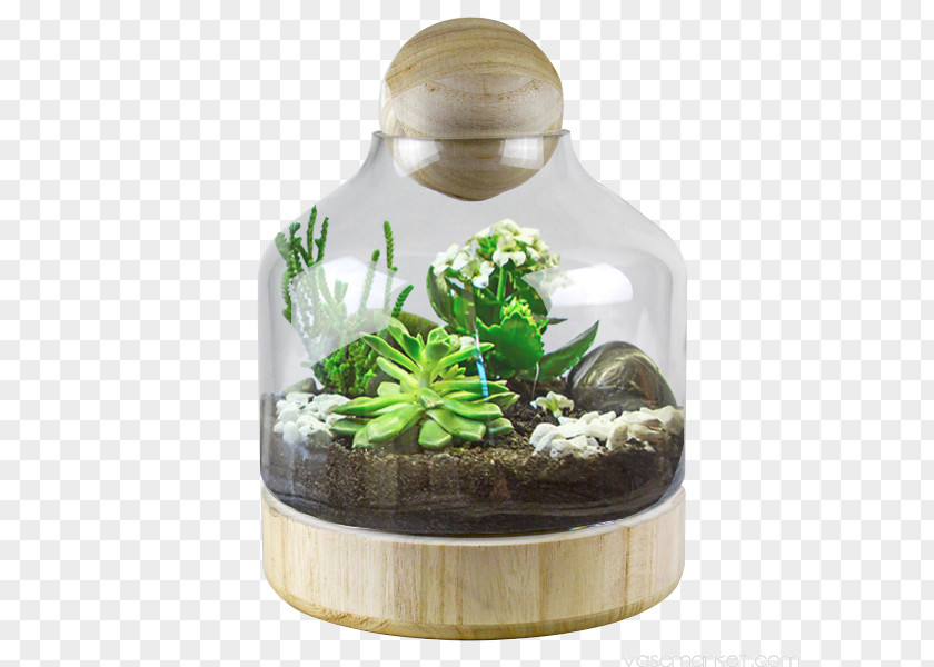 Glass Terrarium Bell Jar Cloche Container PNG