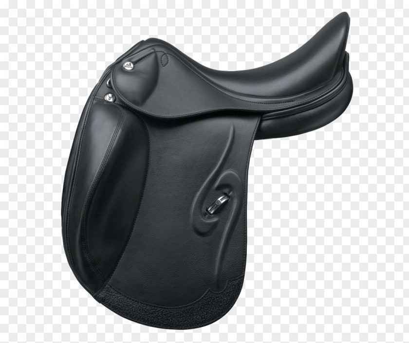 Horse English Saddle Dressage Equestrian PNG