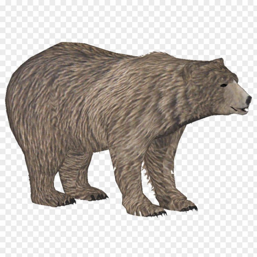 Polar Bear Zoo Tycoon 2 Brown American Black Grizzly PNG