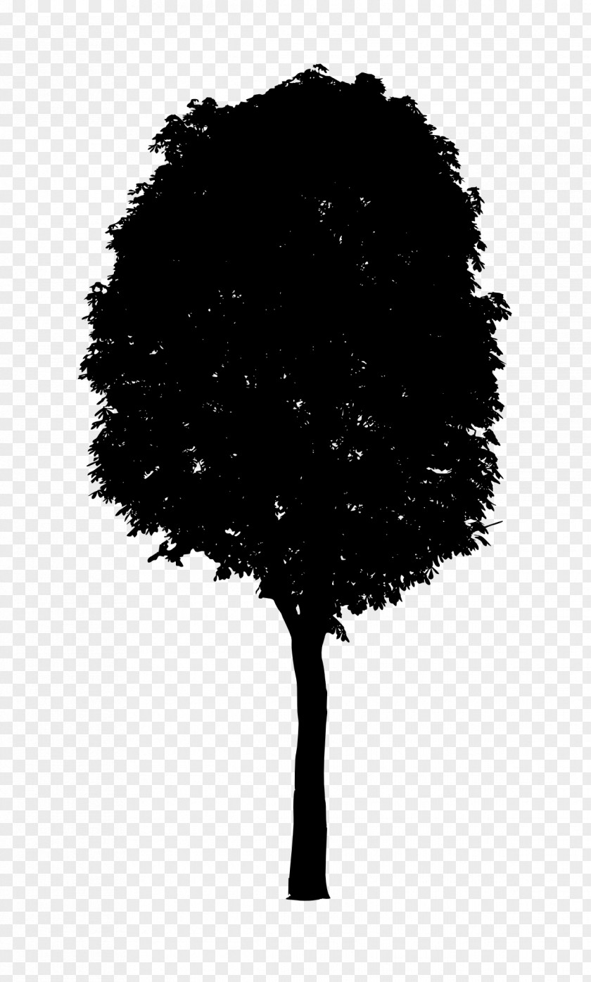 Tree Transparent Black And White PNG