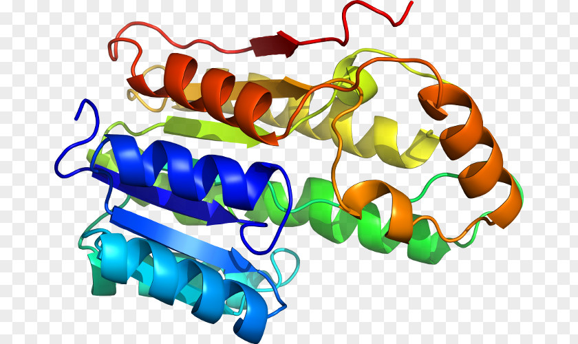 Amoxicillinclavulanic Acid Homology Modeling Protein Structure Prediction Threading PNG
