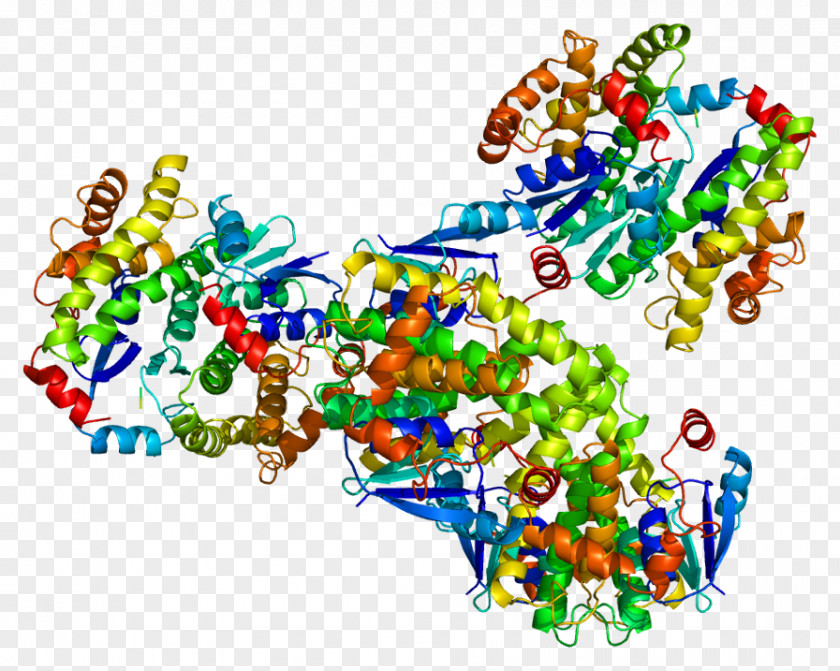 GSTA4 Glutathione S-transferase A4 Gene GSTT1 PNG