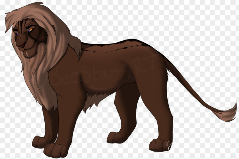 Handsome Fella Dog Breed Lion Cat Terrestrial Animal PNG