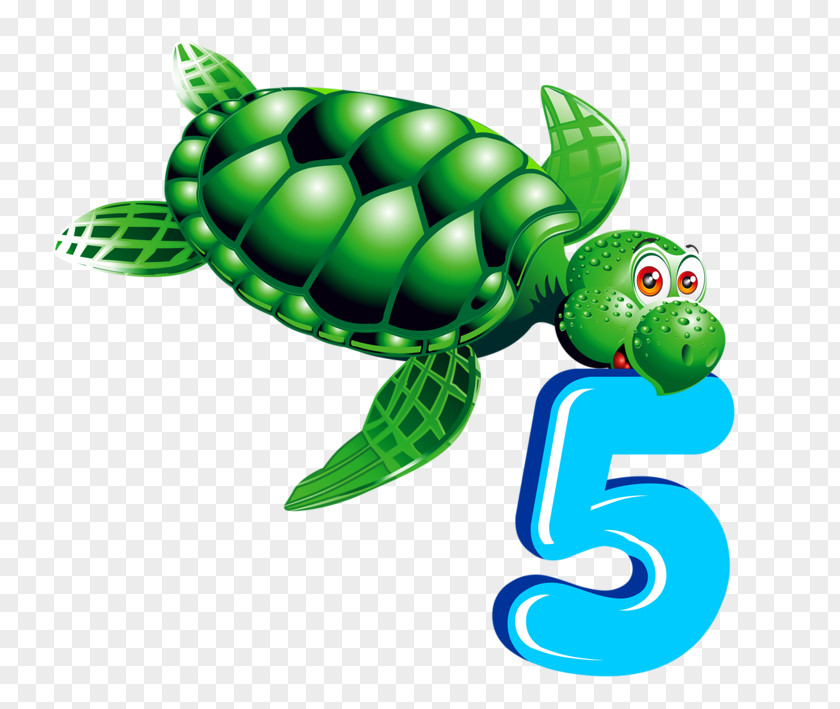 Turtles Play Digital Numerical Digit Sea Turtle Clip Art PNG