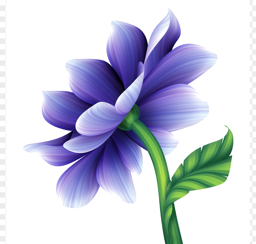 Une Fleur Bleuviolet Clip Art Illustration Image Vector Graphics Stock Photography PNG