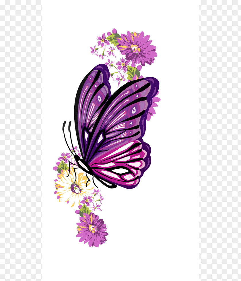 Butterfly Monarch Illustration Clip Art Image PNG