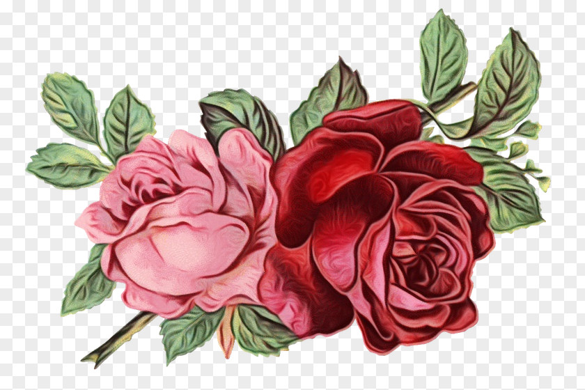 Common Peony China Rose Bouquet Of Flowers Drawing PNG