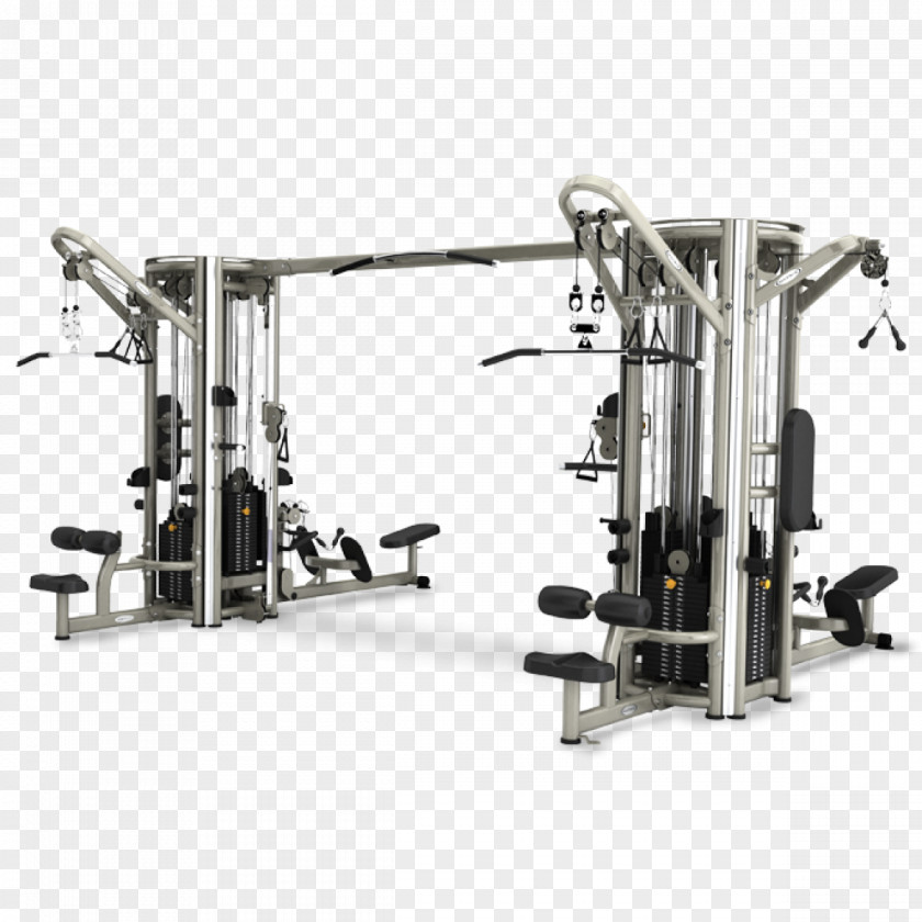 Gym Exercise Equipment Fitness Centre Physical Row PNG