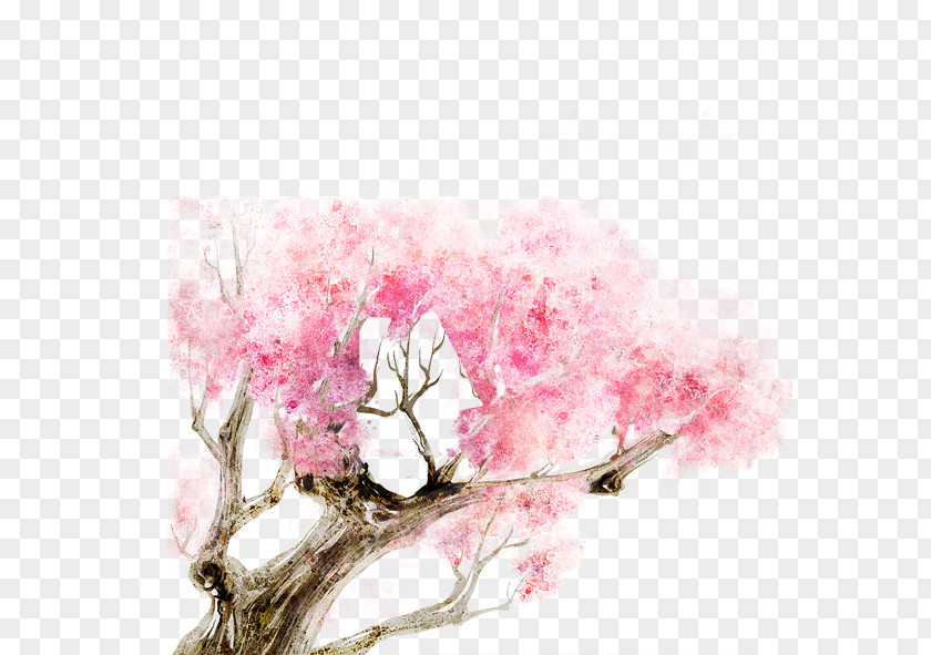 Ink Cherry Blossom PNG