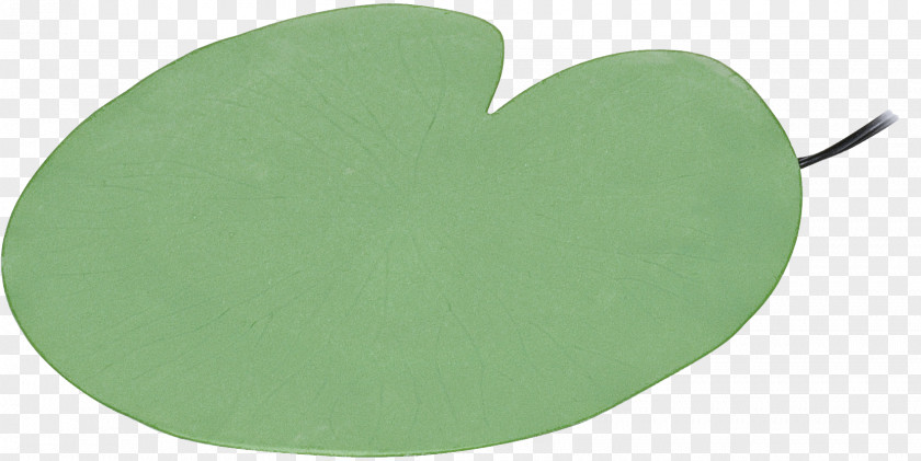 Symbol Heart Green Leaf PNG