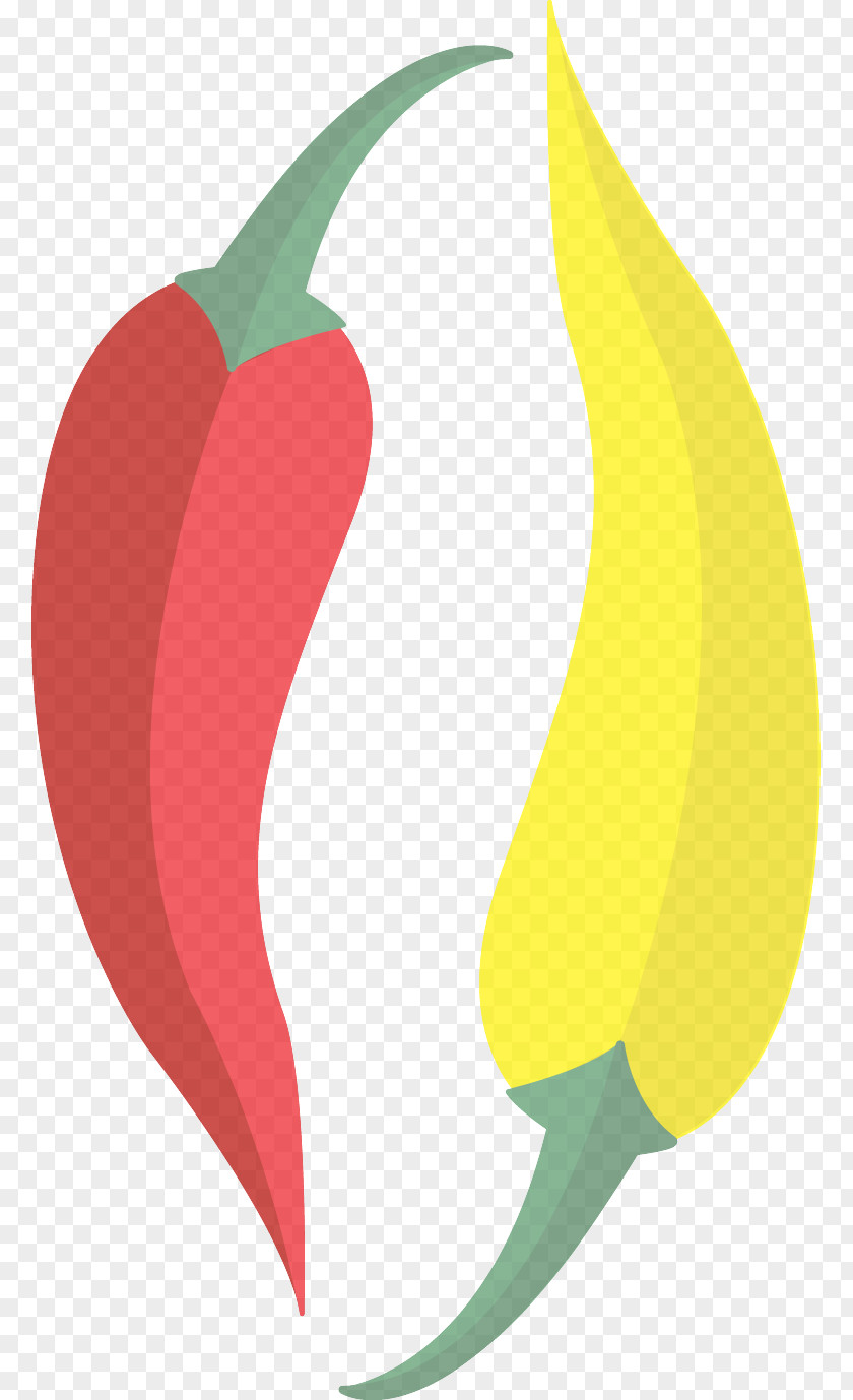Vegetable Capsicum Bell Peppers And Chili Pepper Plant Paprika Tabasco PNG