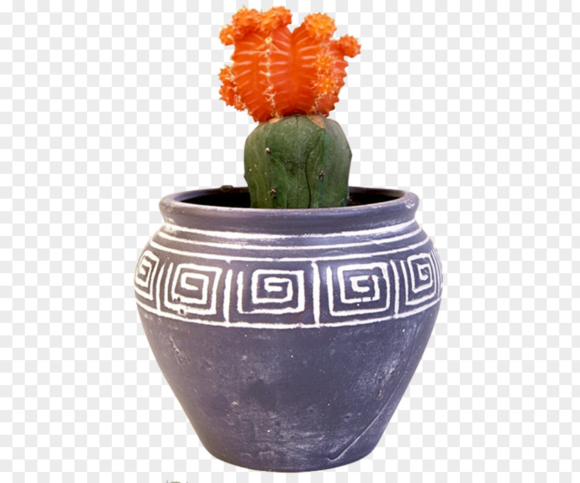 Cactus Flowerpot Houseplant Bonsai Vase PNG