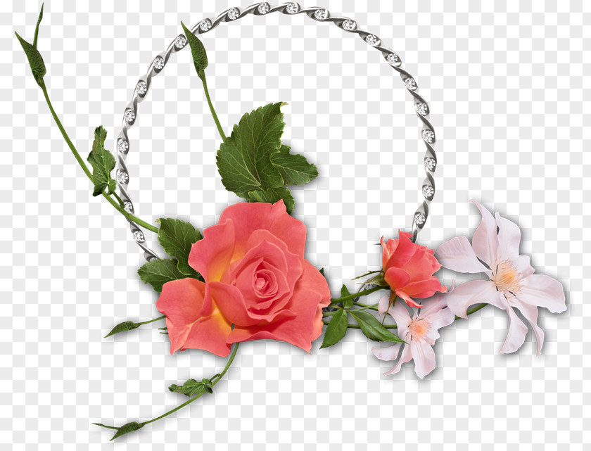 Fq Garden Roses Cut Flowers Floral Design Fillet PNG