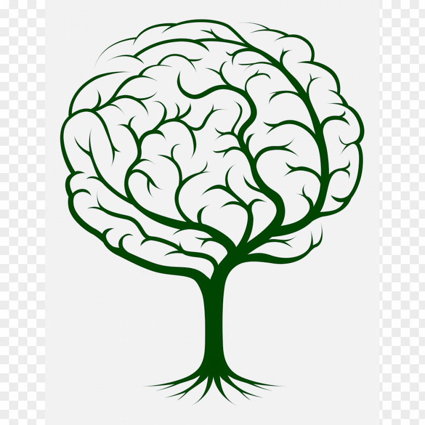 Knowledge Brain Tree Clip Art PNG