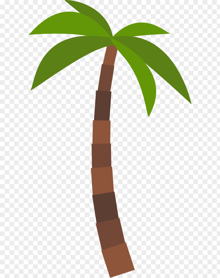 Leaf Arecaceae Plant Stem Tree Clip Art PNG