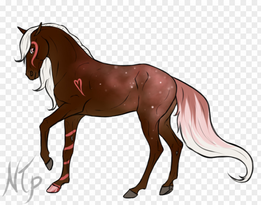 Mustang Mane Stallion Foal Pony PNG