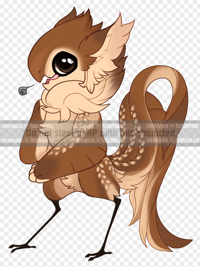 Owl Rooster Cartoon Beak PNG