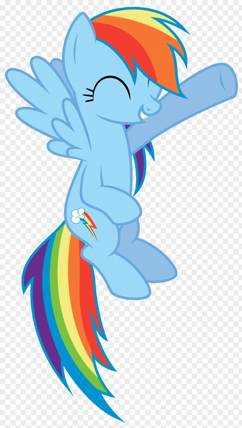Rainbow Dash Pony Rarity PNG