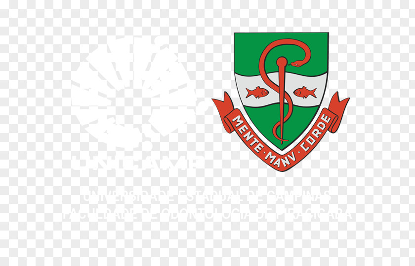 Unicamp University Of Campinas Postgraduate Education DentistryDti Logo School Odontology Piracicaba PNG