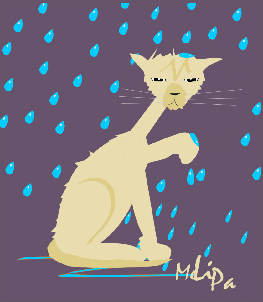Wet Face Cliparts Cat Food Kitten Clip Art PNG