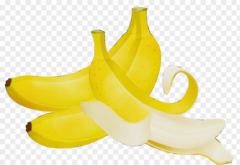 Food Plant Banana Family Yellow Fruit PNG