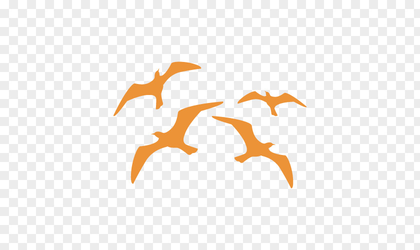 Bird Stencil Gulls Aerography Swallow PNG