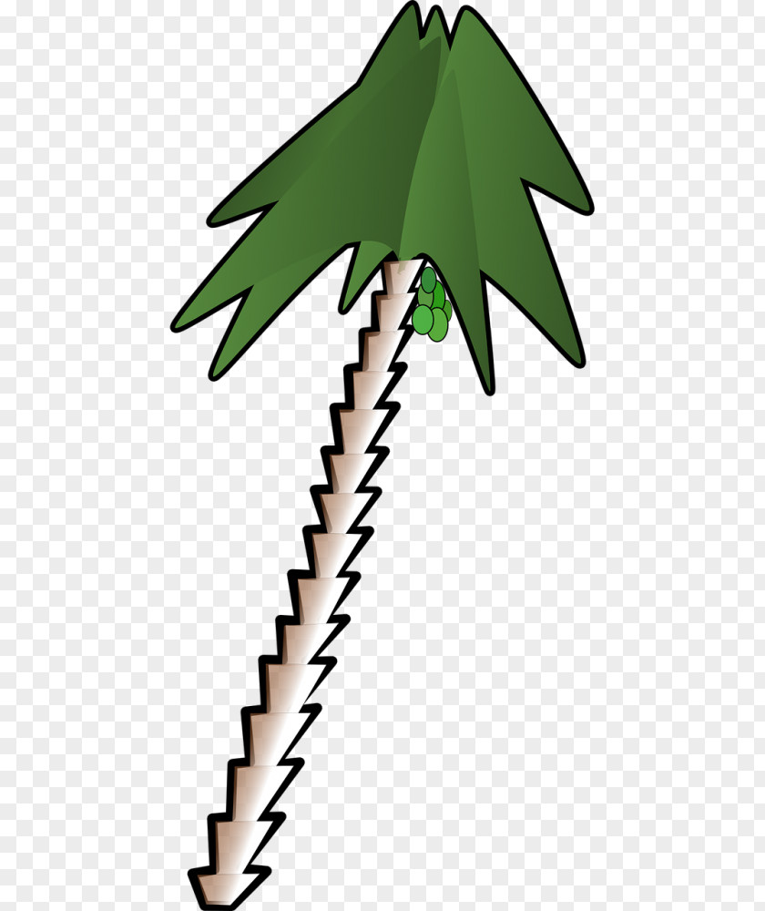 Clip Art Coconut Tree Vector Graphics Openclipart Free Content PNG