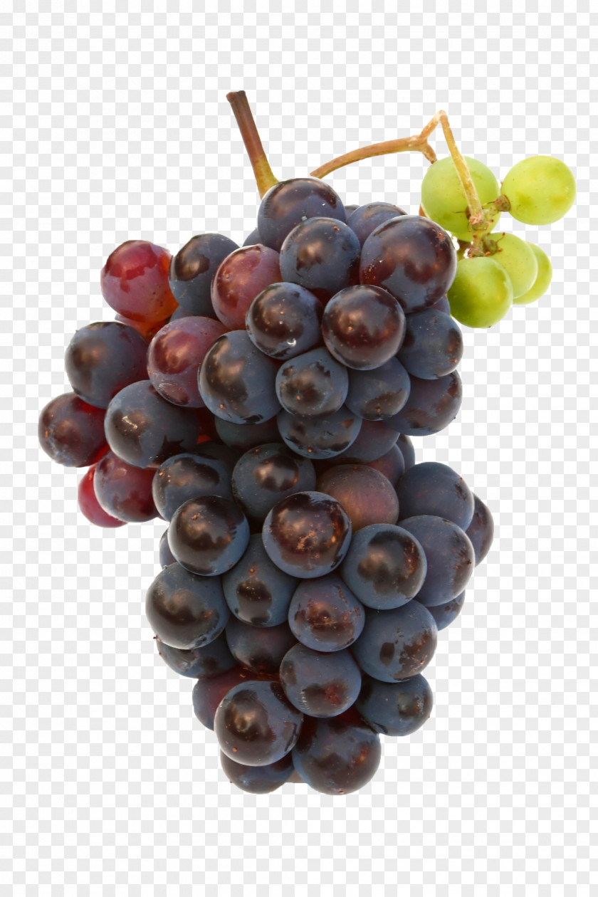 Grape Fruit Image Resolution PNG