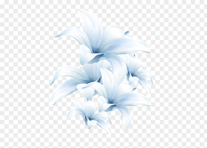 Lilies Madonna Lily Clip Art Desktop Wallpaper Image Flower PNG