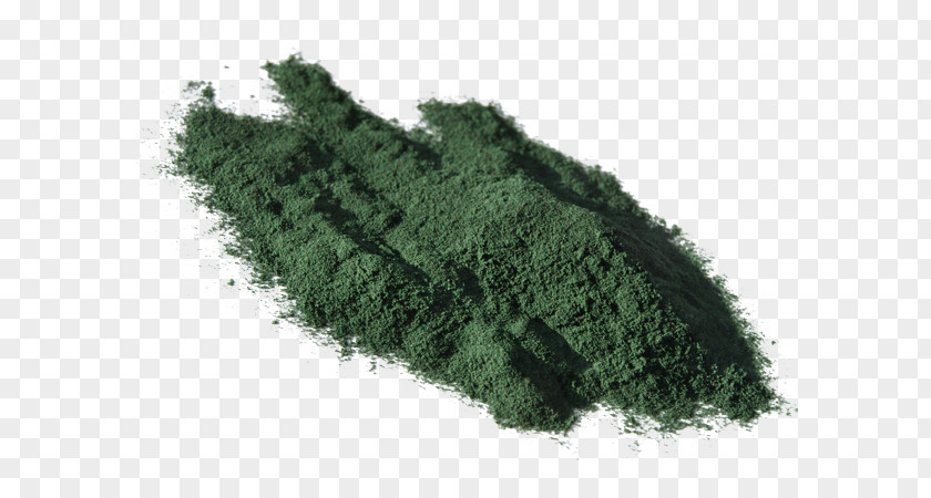 Spirulina Powder Dietary Supplement Blue-green Bacteria Arthrospira Platensis Food PNG