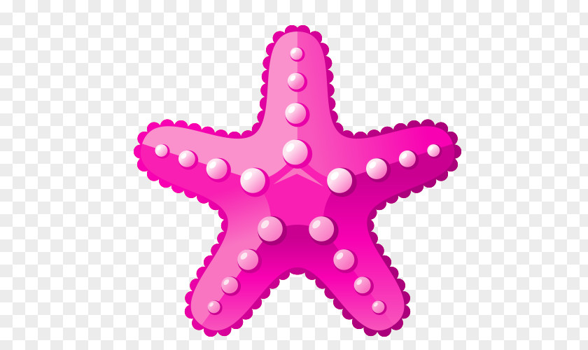 Vector Cartoon Starfish Aquatic Animal Deep Sea Creature Ocean PNG