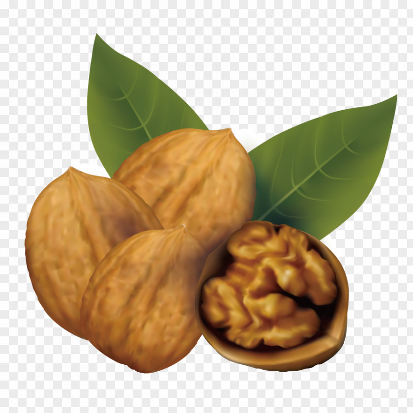 Vector Food Walnut And Coffee Cake Clip Art PNG
