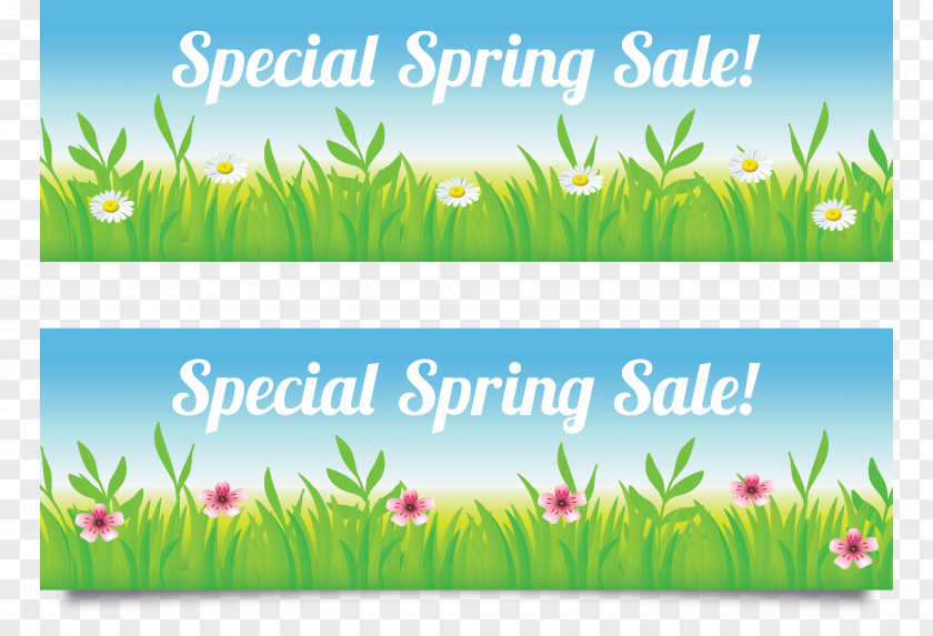 Banner Grass Spring Beautiful Season Web Sales PNG