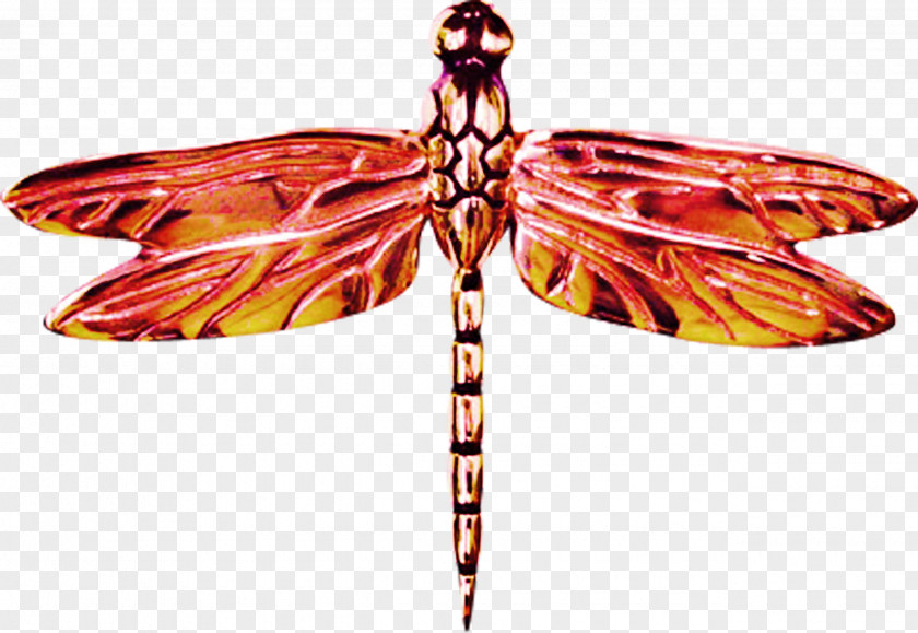 Red Dragonfly Butterfly Icon PNG