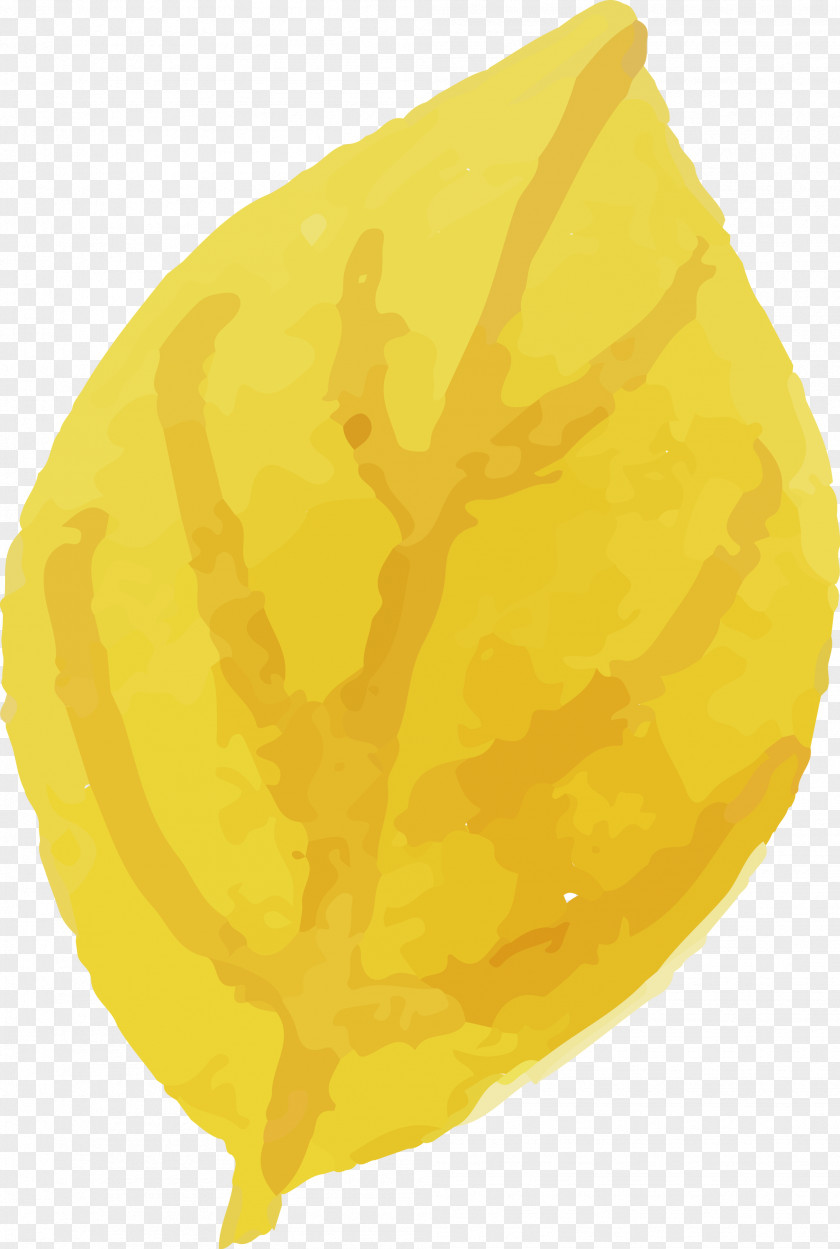 Yellow Commodity Citron PNG