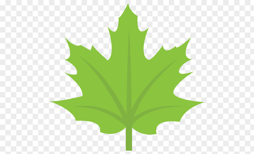 Canada Maple Leaf Flag Of Sugar PNG