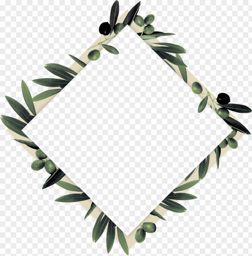 Innovative Thinking Twig Olive Branch Leaf PNG