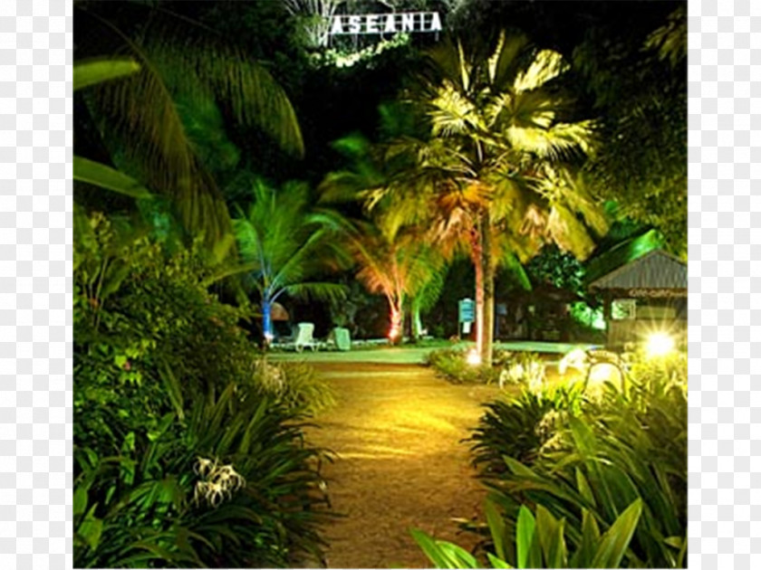 Langkawi Aseania Resort Landscape Lighting PNG