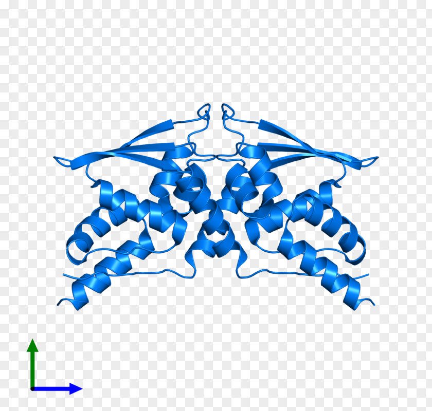 Line Point Invertebrate Clip Art PNG