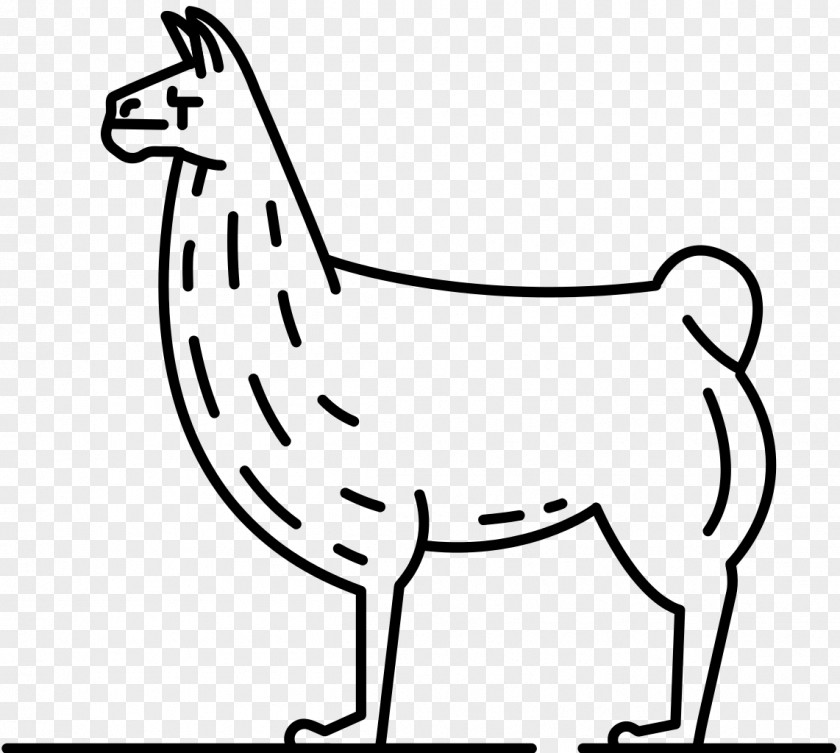 Llamas Llama Coloring Book Animal Drawing Camelids PNG