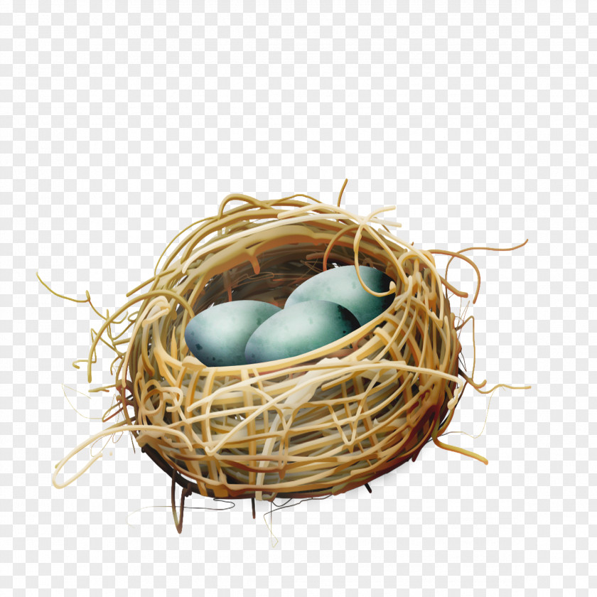 Nest Bird Egg PNG