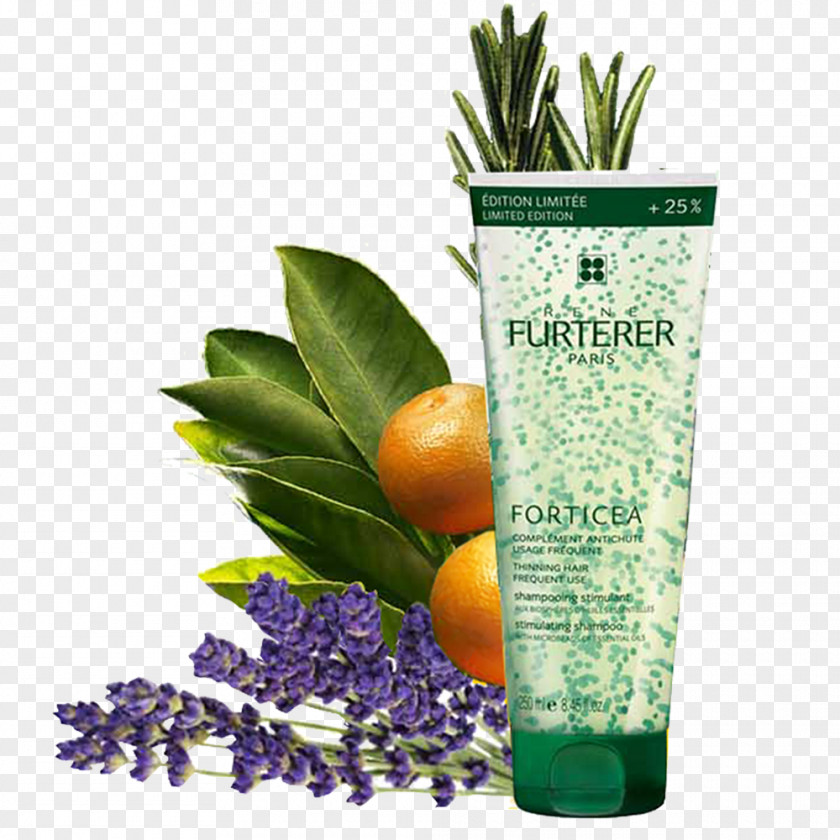 Shampoo René Furterer FORTICEA Stimulating Milliliter Herbalism PNG