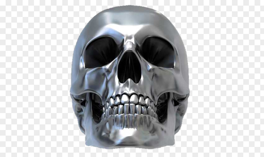 Skull Human Symbolism Calavera Bone Skeleton PNG