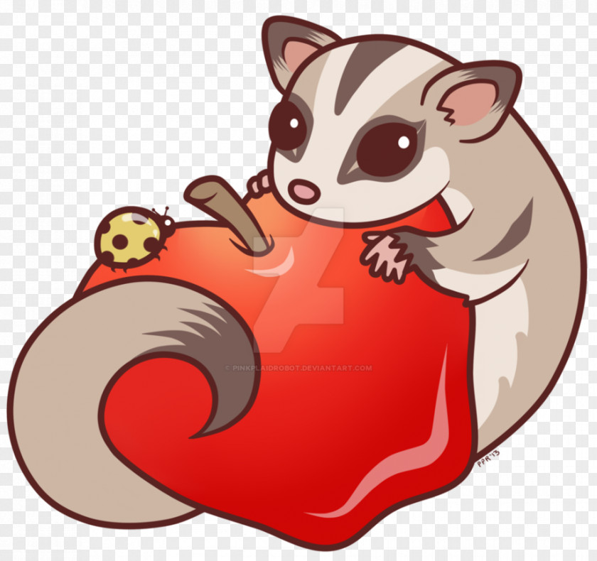 Sugar Glider Whiskers Pet Clip Art PNG