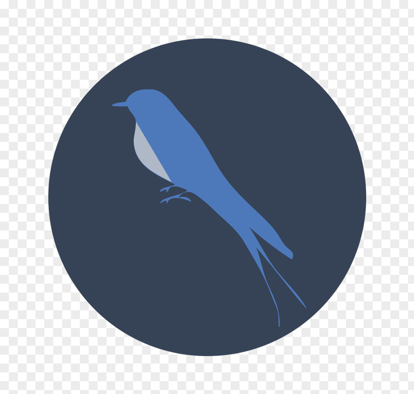 Bird Icon Cobalt Blue Beak PNG