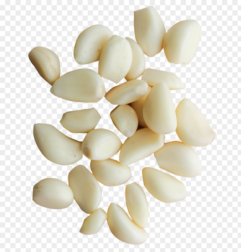 Garlic Solo Bread Vegetable PNG