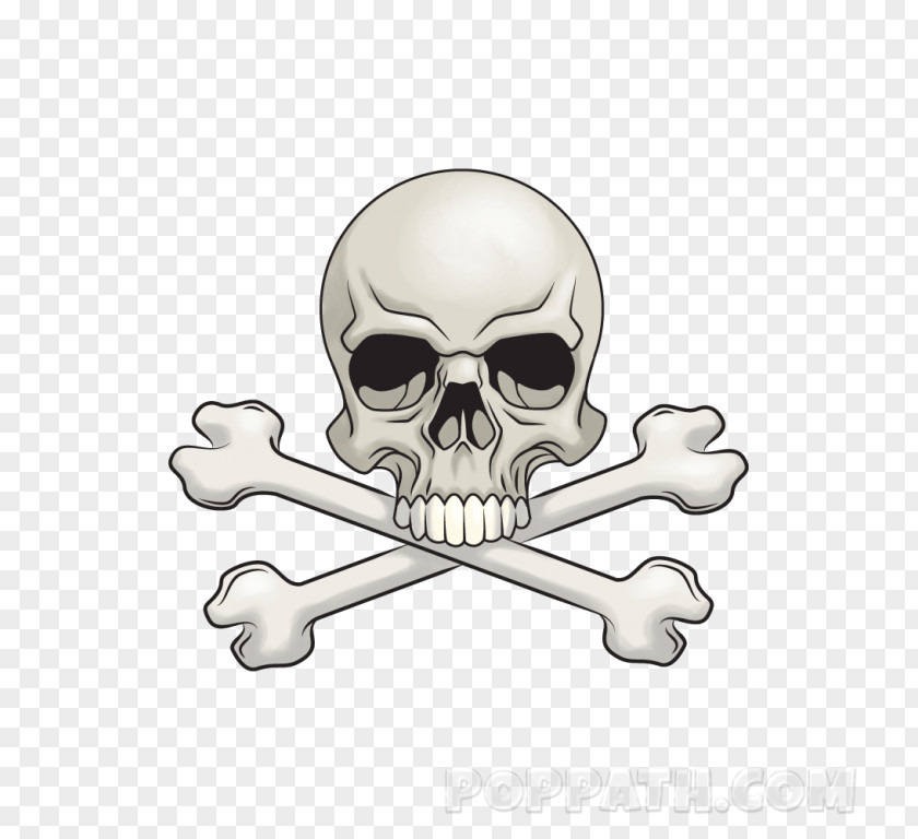 Logo Sticker Skull PNG